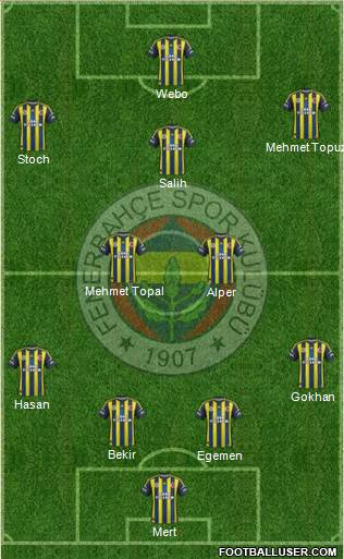 Fenerbahçe SK Formation 2013