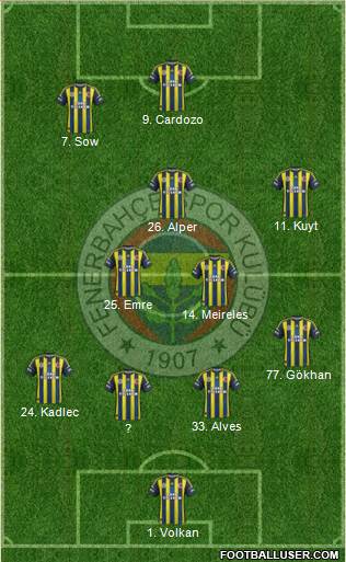 Fenerbahçe SK Formation 2013