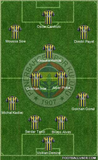 Fenerbahçe SK Formation 2013