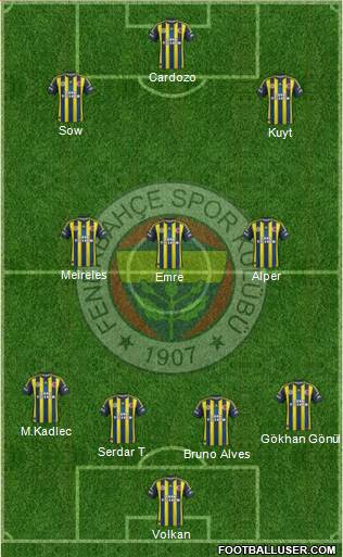 Fenerbahçe SK Formation 2013