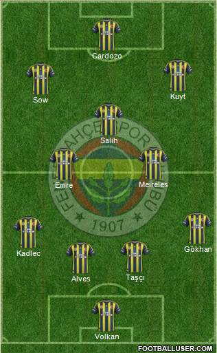 Fenerbahçe SK Formation 2013