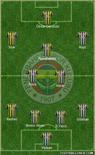 Fenerbahçe SK Formation 2013
