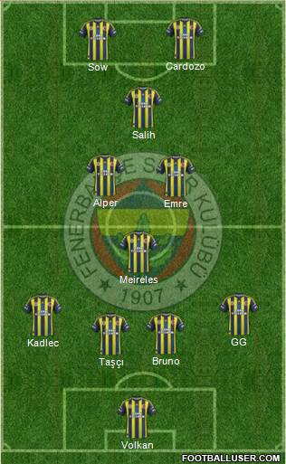 Fenerbahçe SK Formation 2013