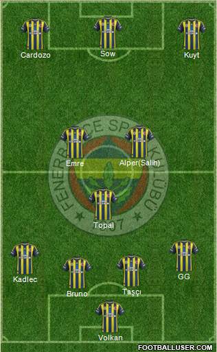 Fenerbahçe SK Formation 2013