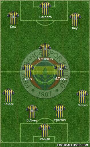 Fenerbahçe SK Formation 2013
