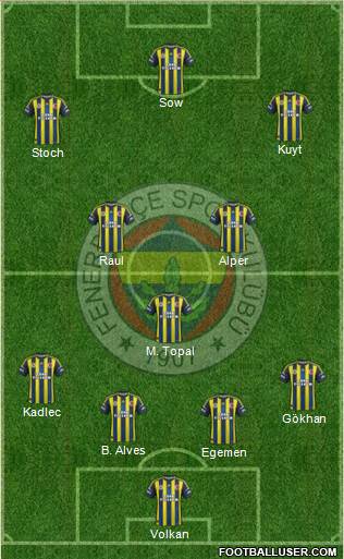 Fenerbahçe SK Formation 2013