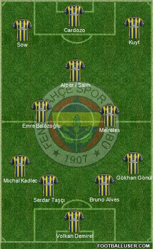 Fenerbahçe SK Formation 2013
