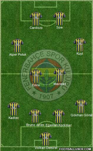 Fenerbahçe SK Formation 2013
