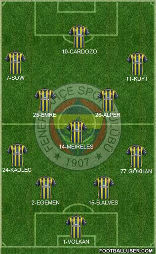Fenerbahçe SK Formation 2013