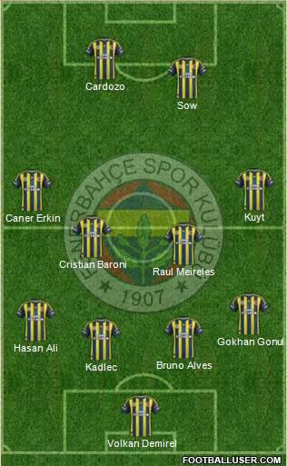 Fenerbahçe SK Formation 2013