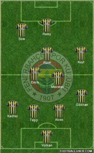 Fenerbahçe SK Formation 2013