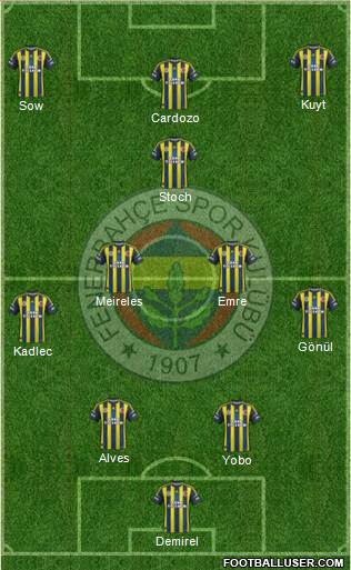 Fenerbahçe SK Formation 2013