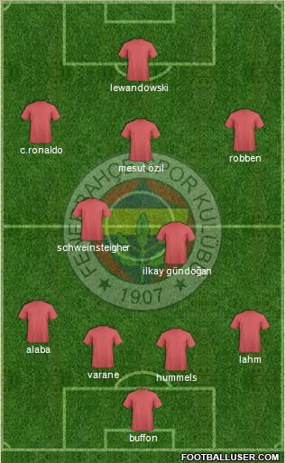 Fenerbahçe SK Formation 2013