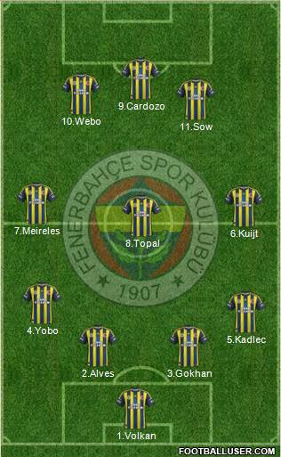 Fenerbahçe SK Formation 2013