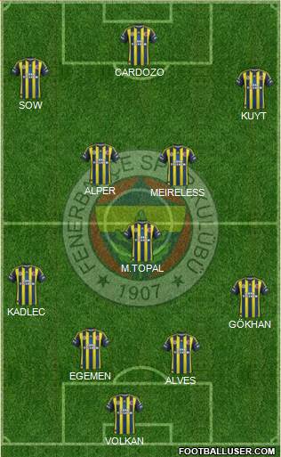 Fenerbahçe SK Formation 2013