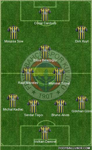 Fenerbahçe SK Formation 2013