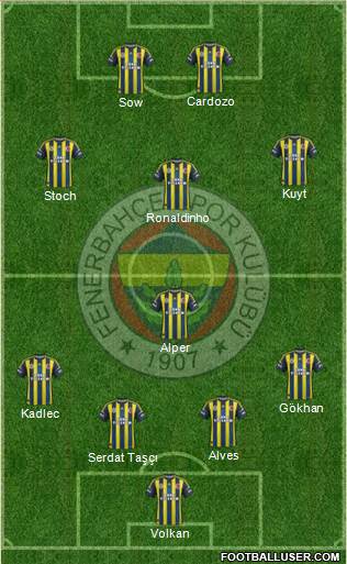 Fenerbahçe SK Formation 2013