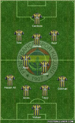 Fenerbahçe SK Formation 2013