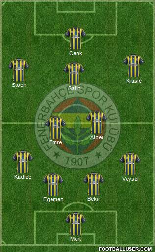 Fenerbahçe SK Formation 2013
