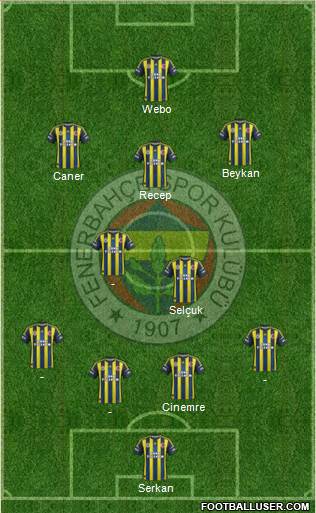 Fenerbahçe SK Formation 2013