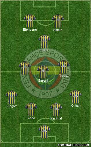 Fenerbahçe SK Formation 2013