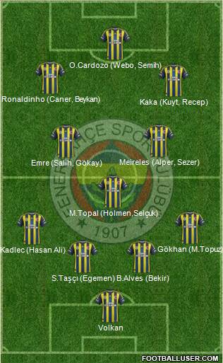 Fenerbahçe SK Formation 2013