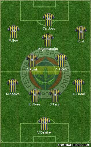 Fenerbahçe SK Formation 2013