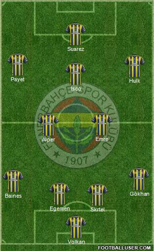 Fenerbahçe SK Formation 2013