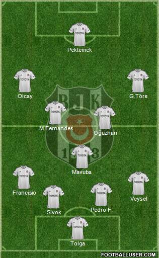 Besiktas JK Formation 2013