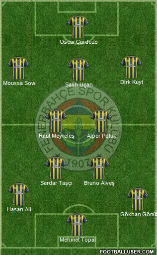 Fenerbahçe SK Formation 2013