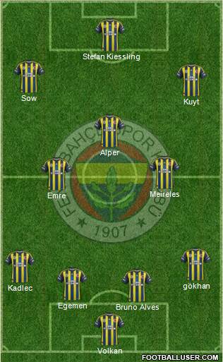 Fenerbahçe SK Formation 2013