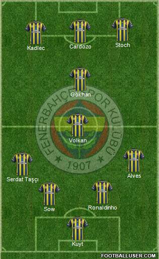 Fenerbahçe SK Formation 2013