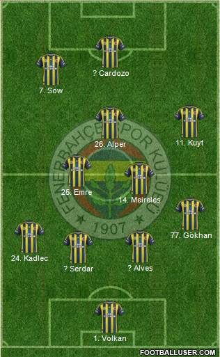Fenerbahçe SK Formation 2013