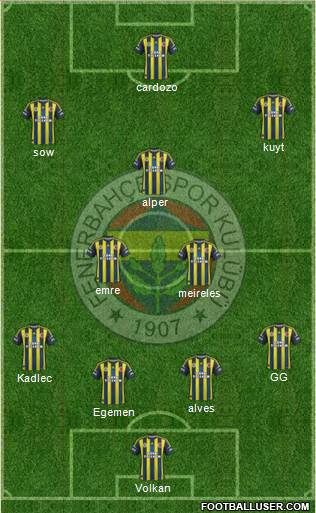 Fenerbahçe SK Formation 2013