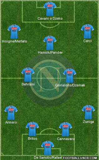 Napoli Formation 2013