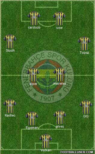 Fenerbahçe SK Formation 2013