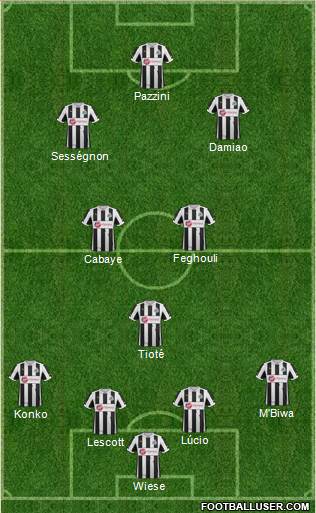Newcastle United Formation 2013