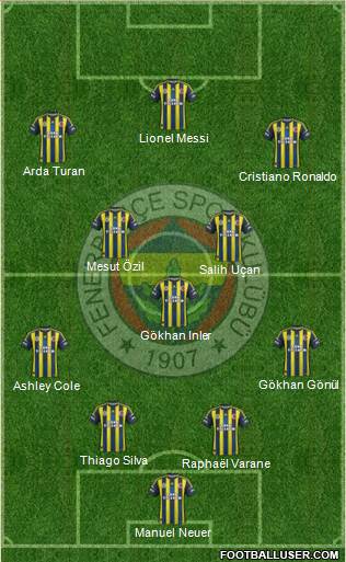 Fenerbahçe SK Formation 2013