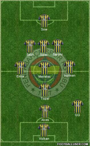 Fenerbahçe SK Formation 2013