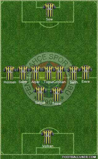 Fenerbahçe SK Formation 2013
