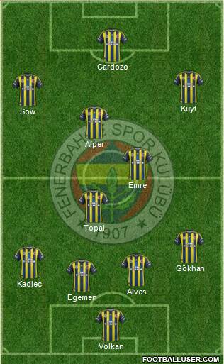 Fenerbahçe SK Formation 2013