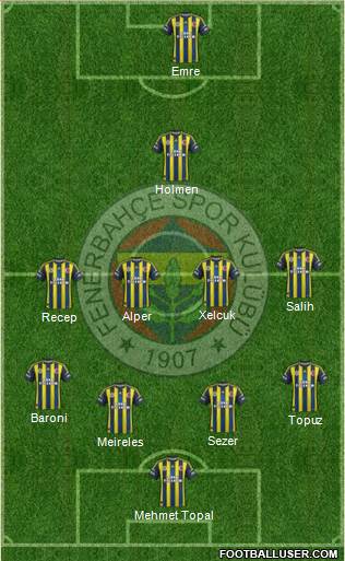 Fenerbahçe SK Formation 2013