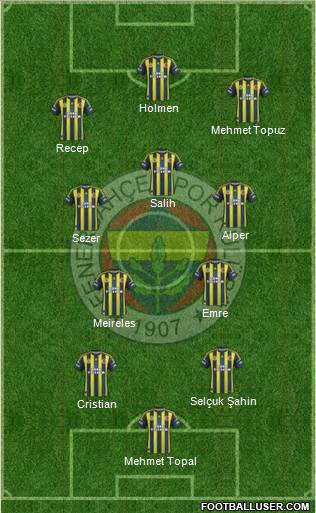 Fenerbahçe SK Formation 2013