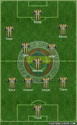 Fenerbahçe SK Formation 2013