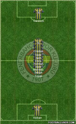 Fenerbahçe SK Formation 2013