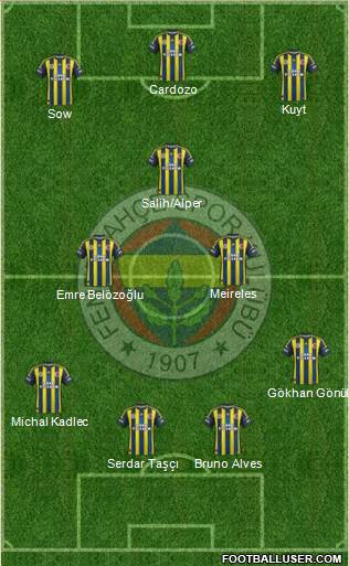 Fenerbahçe SK Formation 2013