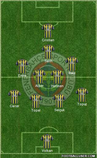 Fenerbahçe SK Formation 2013