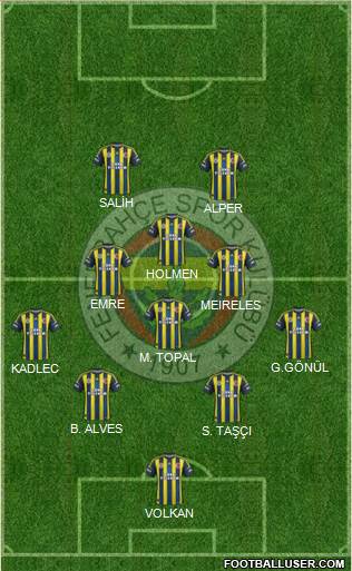 Fenerbahçe SK Formation 2013