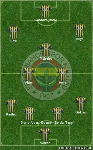 Fenerbahçe SK Formation 2013