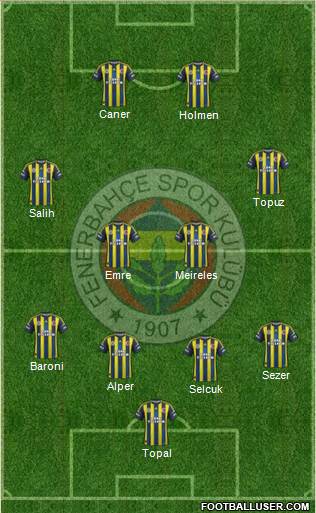Fenerbahçe SK Formation 2013